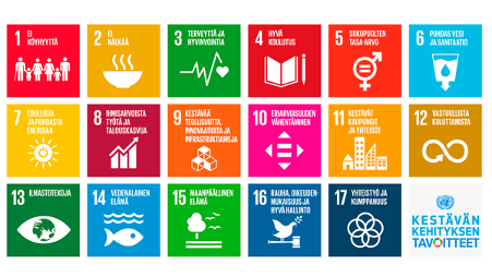 Kuva 2. Kestävän kehityksen tavoitteet. 