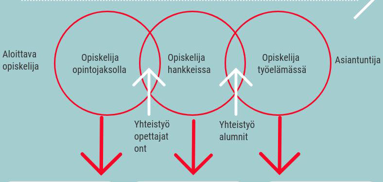 Korkeakouluopiskelijan informaatiomaaperä