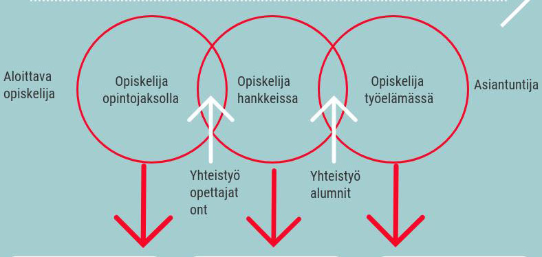 Korkeakouluopiskelijan informaatiomaaperä